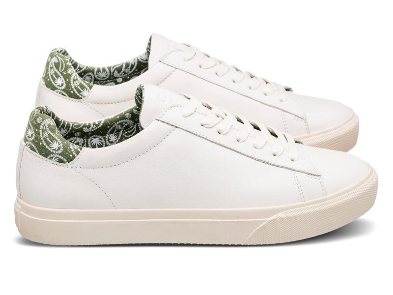 CLAE - BRADLEY VENICE ブラッドレイ ヴェニス