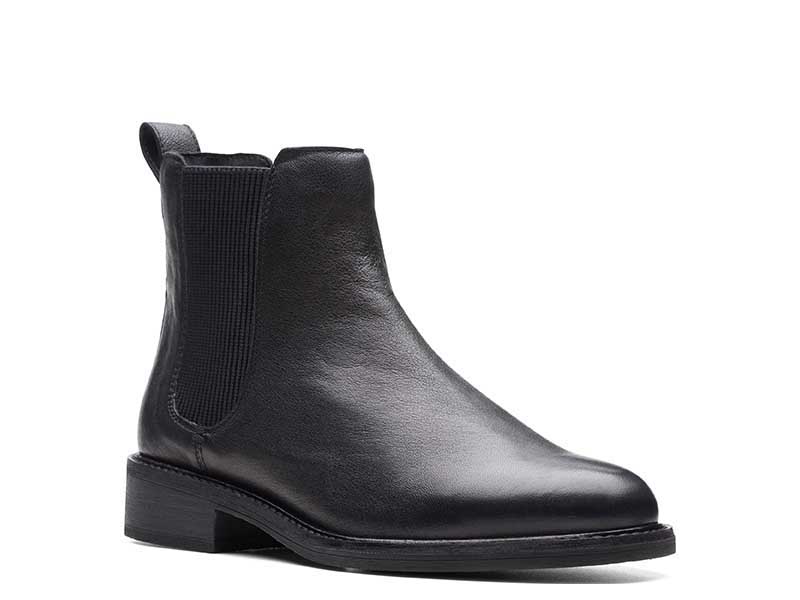 Cologne Arlo2 ケルンアーロ2